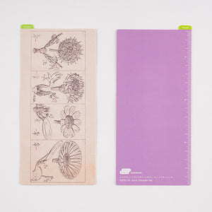 Tomitaro Makino: Hobonichi Pencil Board for A6 Size (Tomitaro Makino)