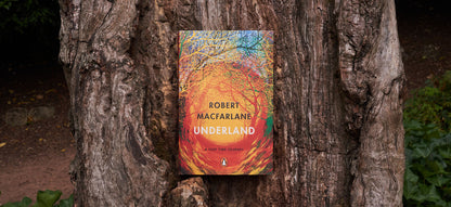Field Notes Underland, 3-pack