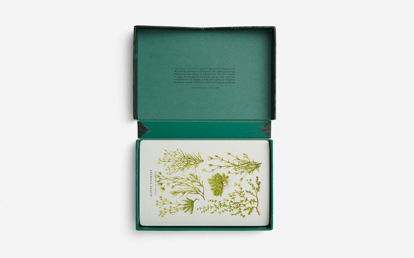 The Wonder of Nature Card Set