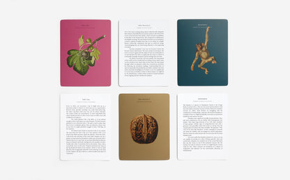 The Wonder of Nature Card Set